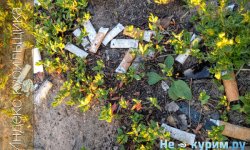 Индекс курильщика – правильный расчет