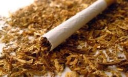 Вред табака