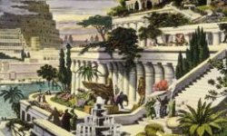 Гидропоника